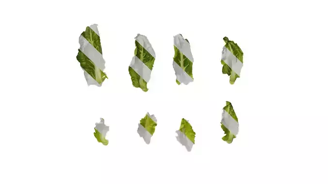 Anydrafts Brassica botrytis Leaf 03