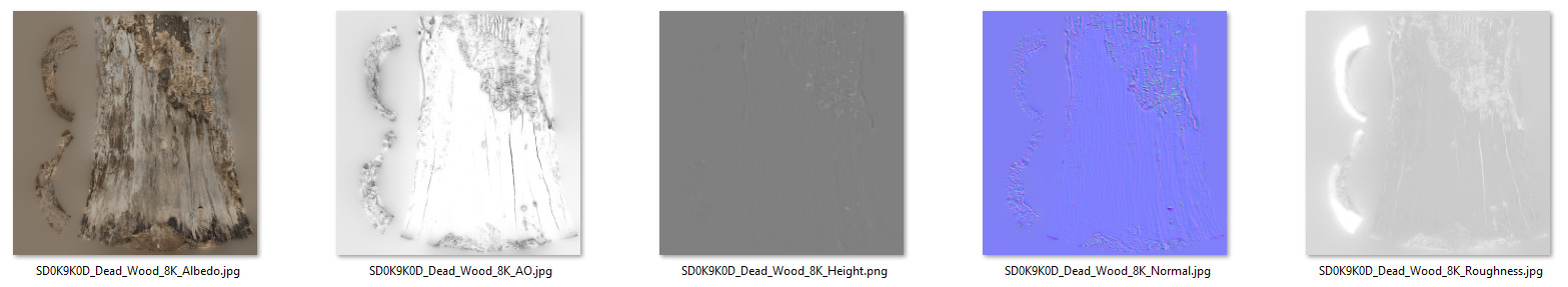 Dead Wood 002 3D model_9