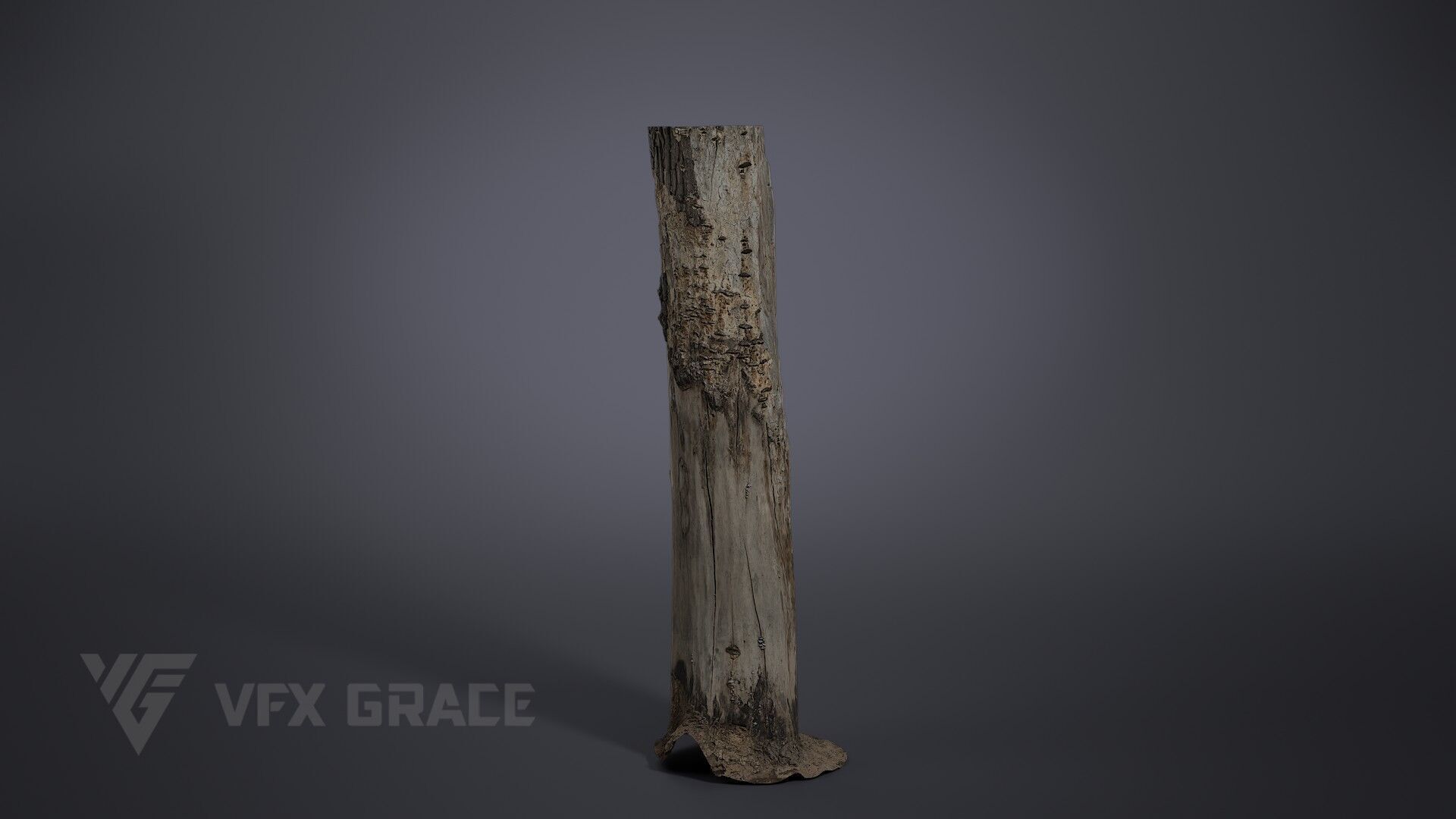 Dead Wood 002 3D model_3