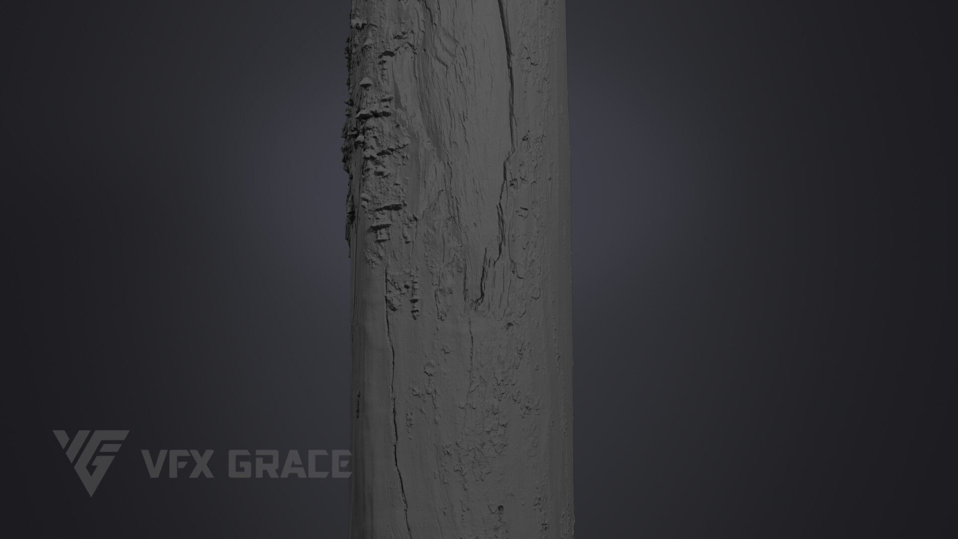 Dead Wood 002 3D model_8