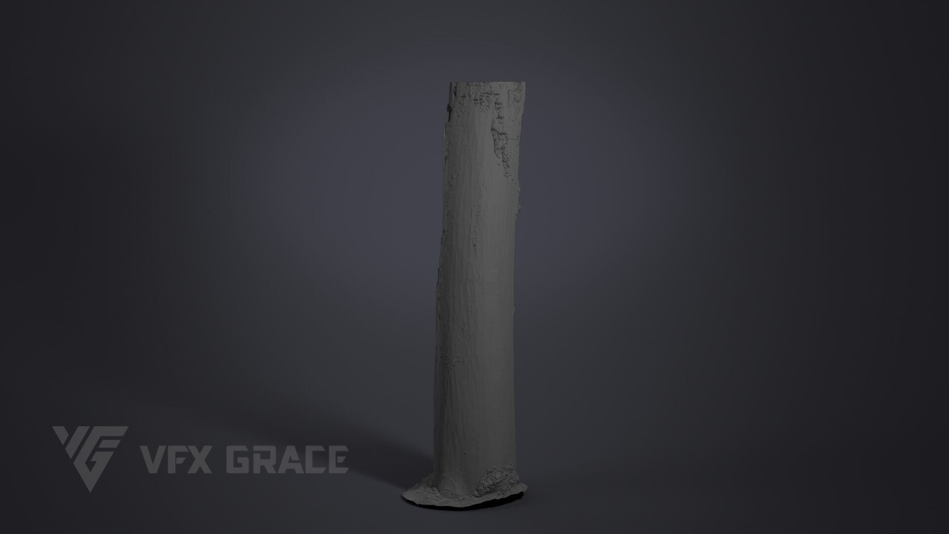 Dead Wood 002 3D model_5