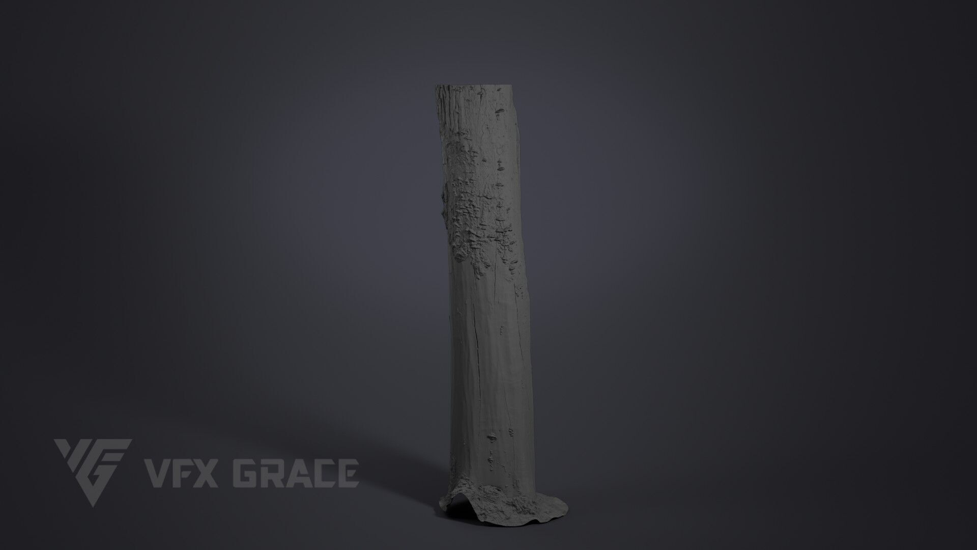 Dead Wood 002 3D model_7