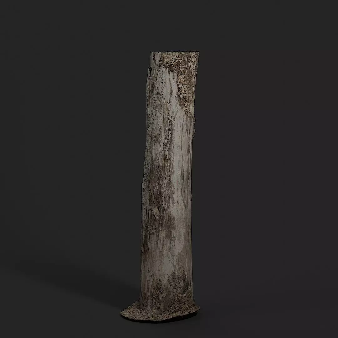 Dead Wood 002 3D model_0