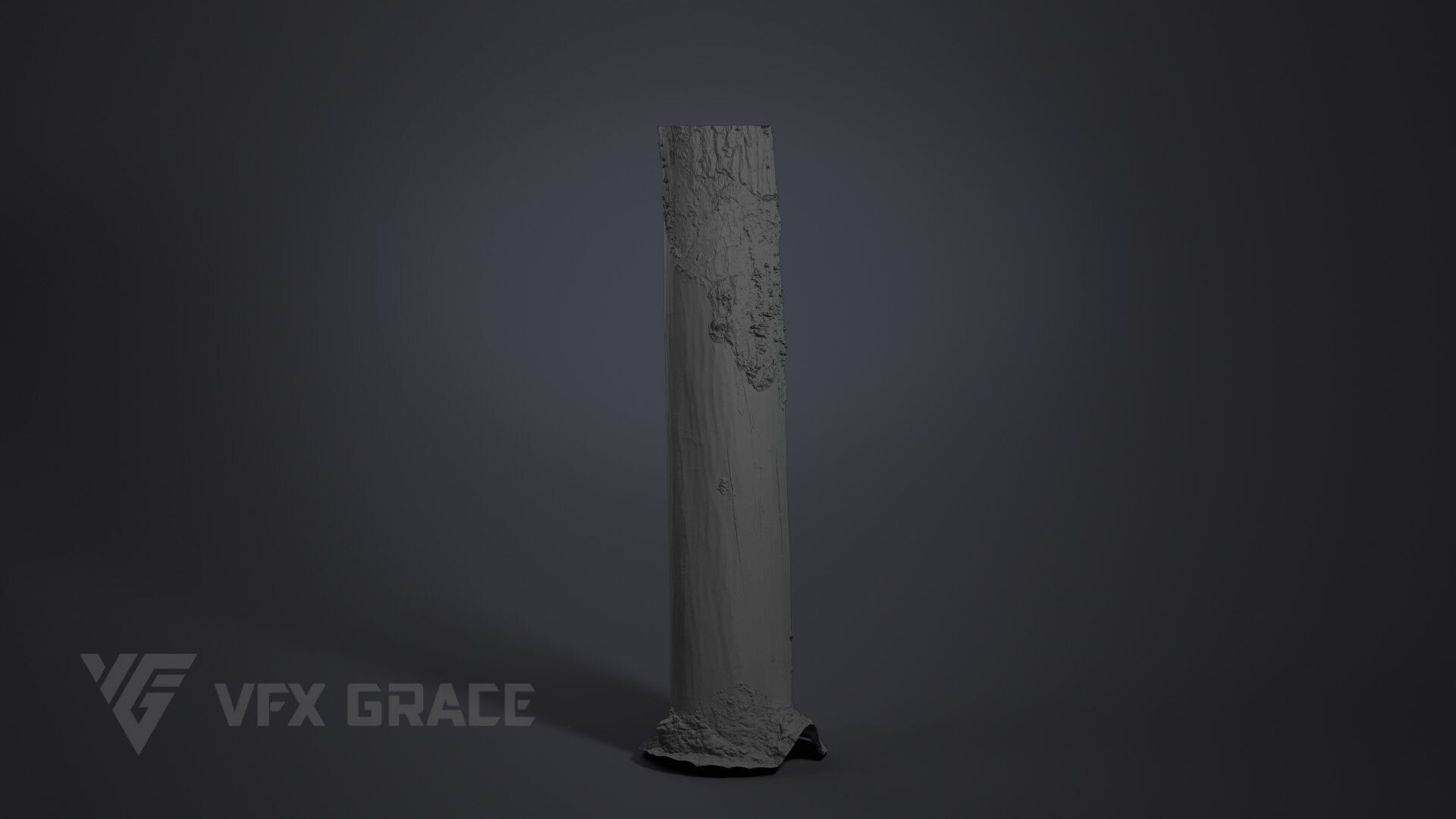 Dead Wood 002 3D model_6