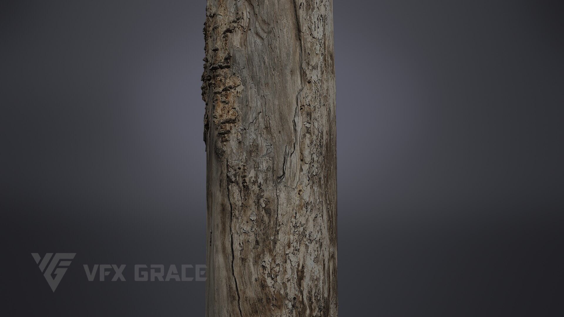 Dead Wood 002 3D model_4