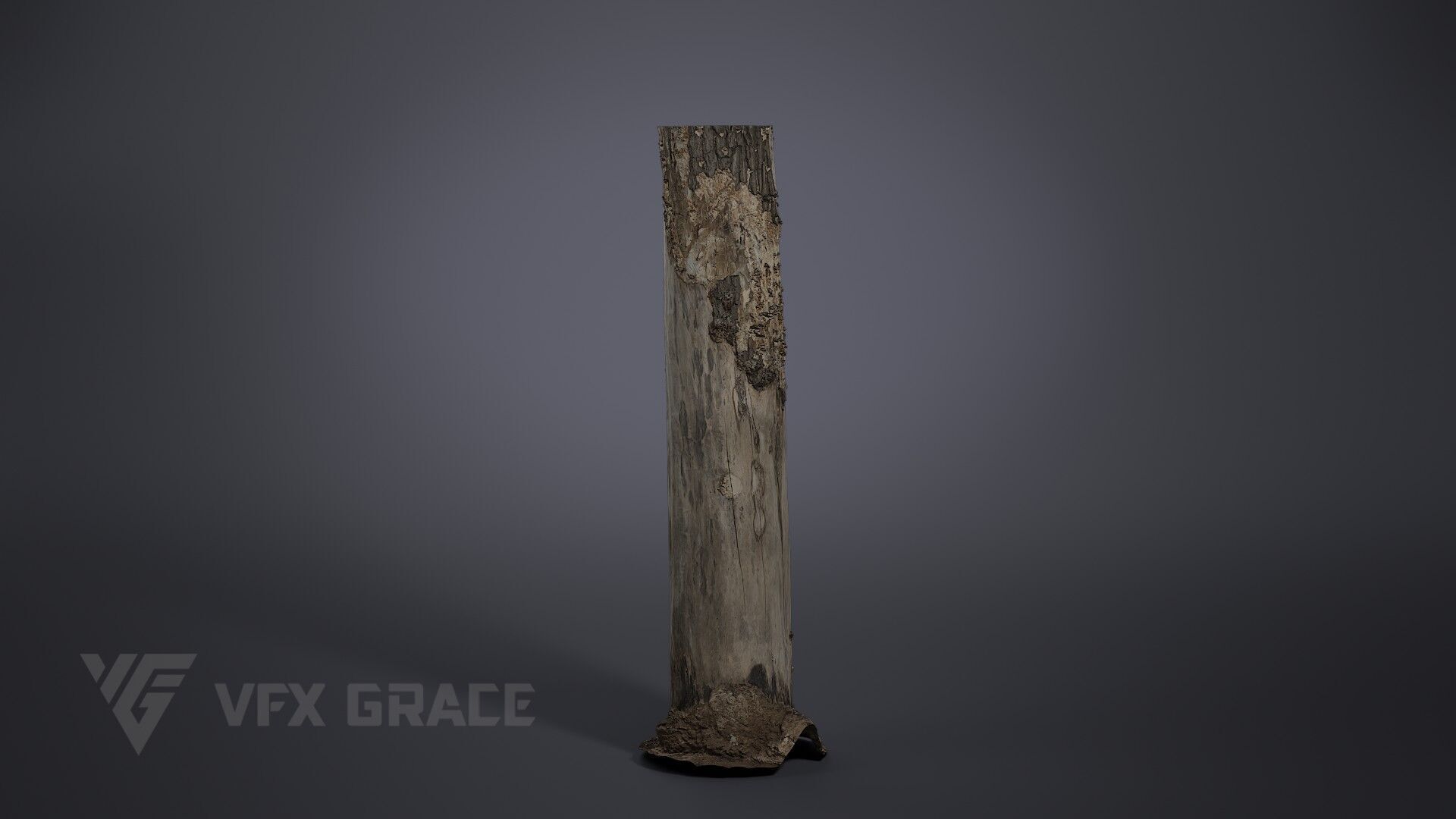 Dead Wood 002 3D model_2