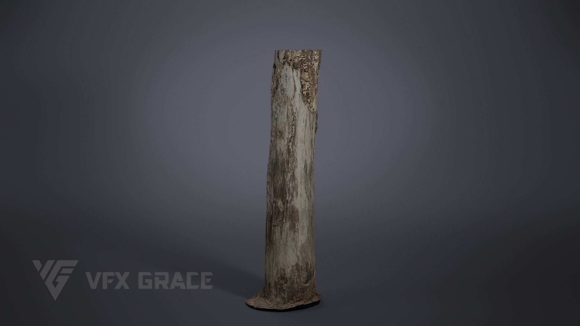 Dead Wood 002 3D model_1