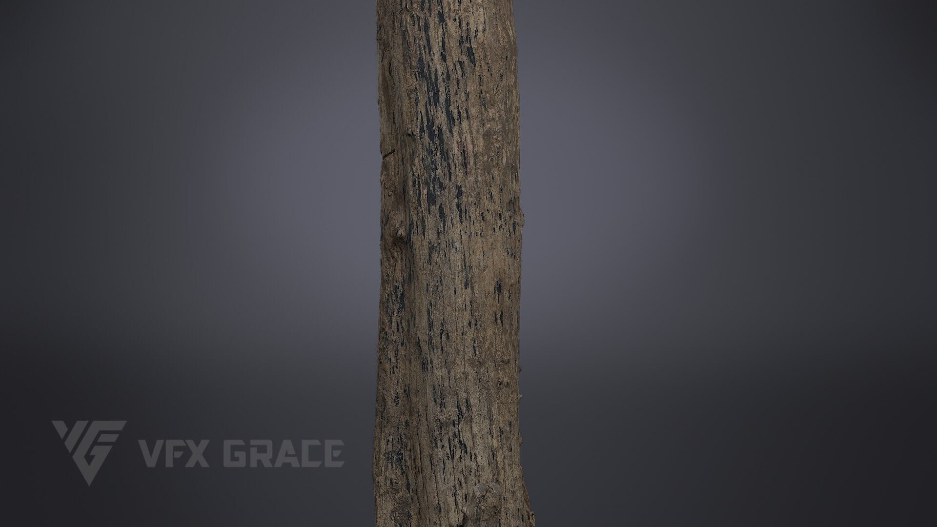 Dead Wood 001 3D model_4