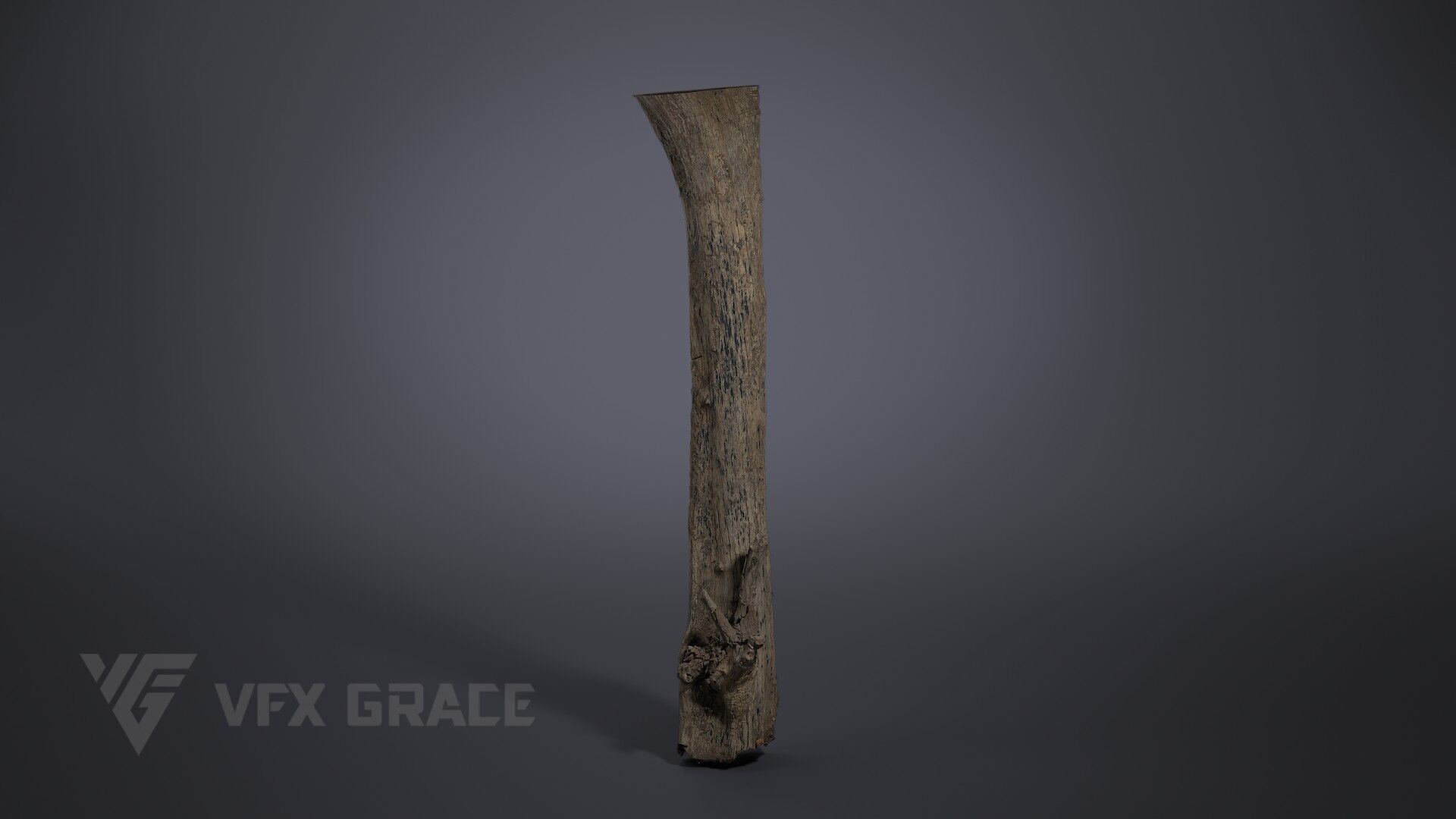 Dead Wood 001 3D model_3
