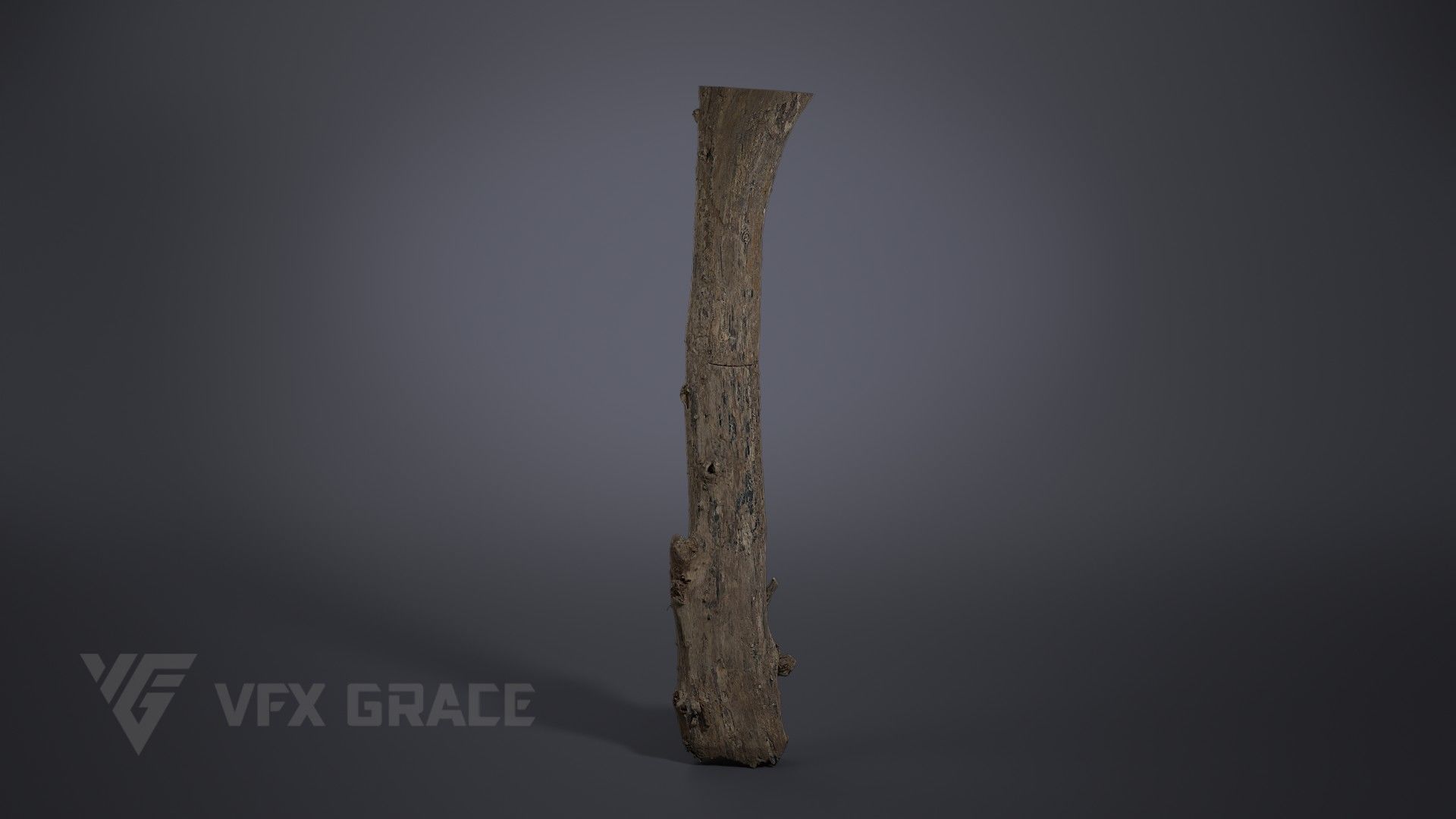 Dead Wood 001 3D model_1