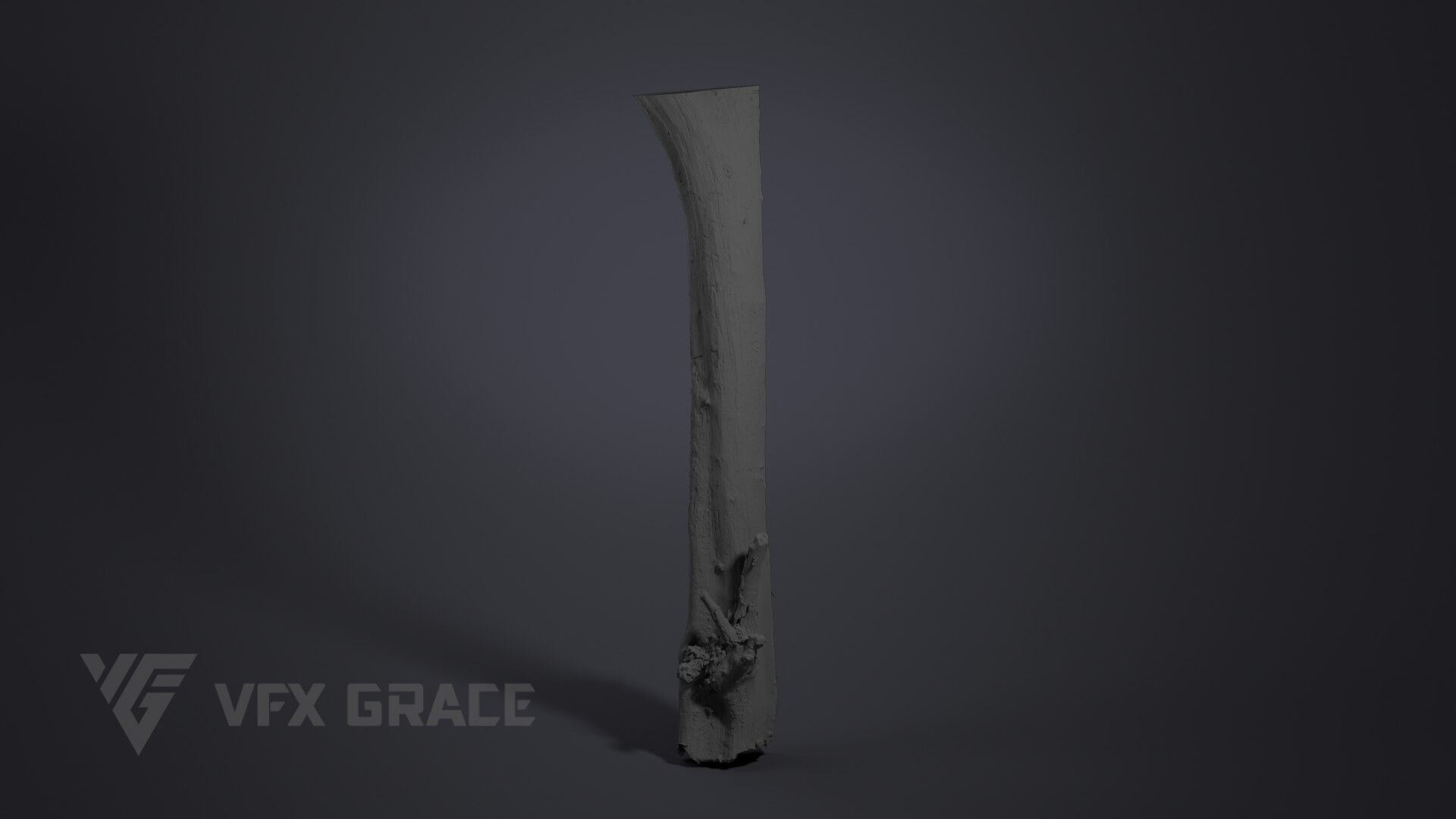 Dead Wood 001 3D model_7