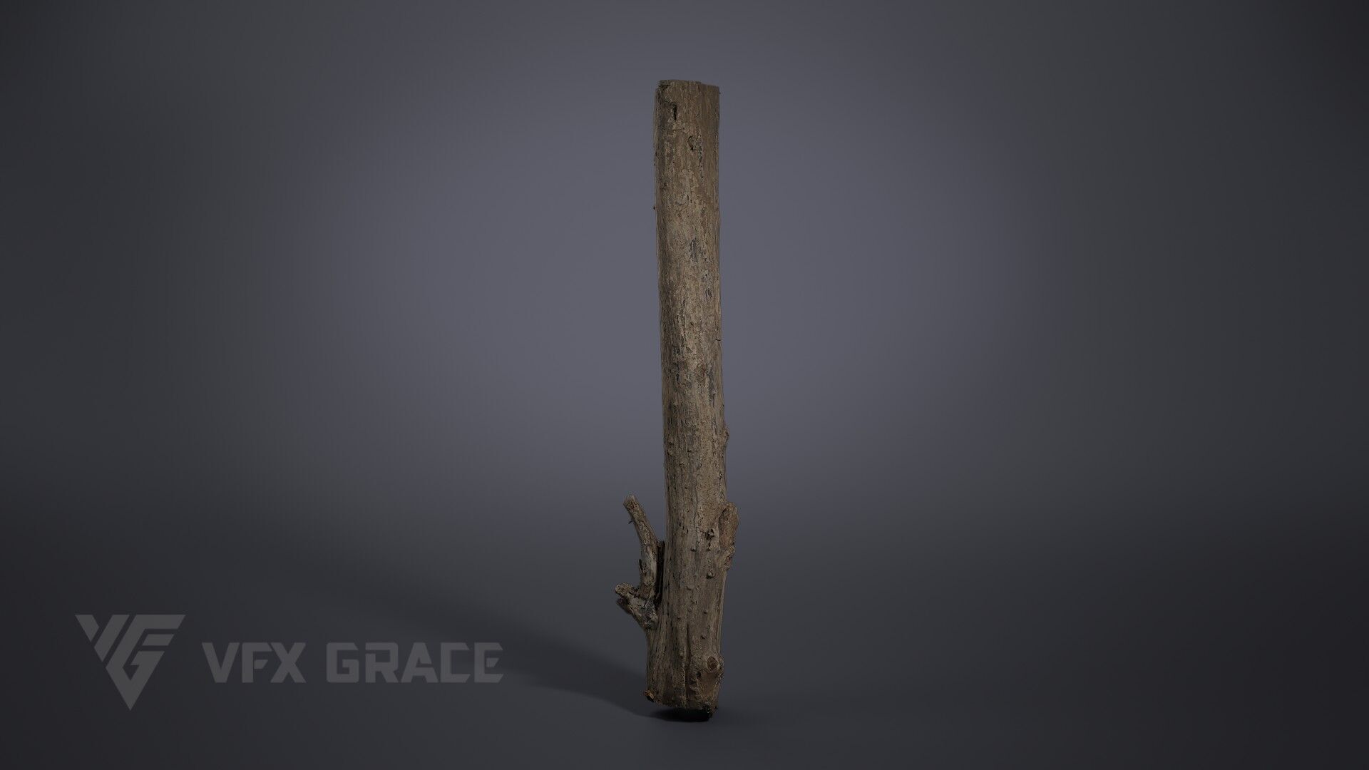 Dead Wood 001 3D model_2