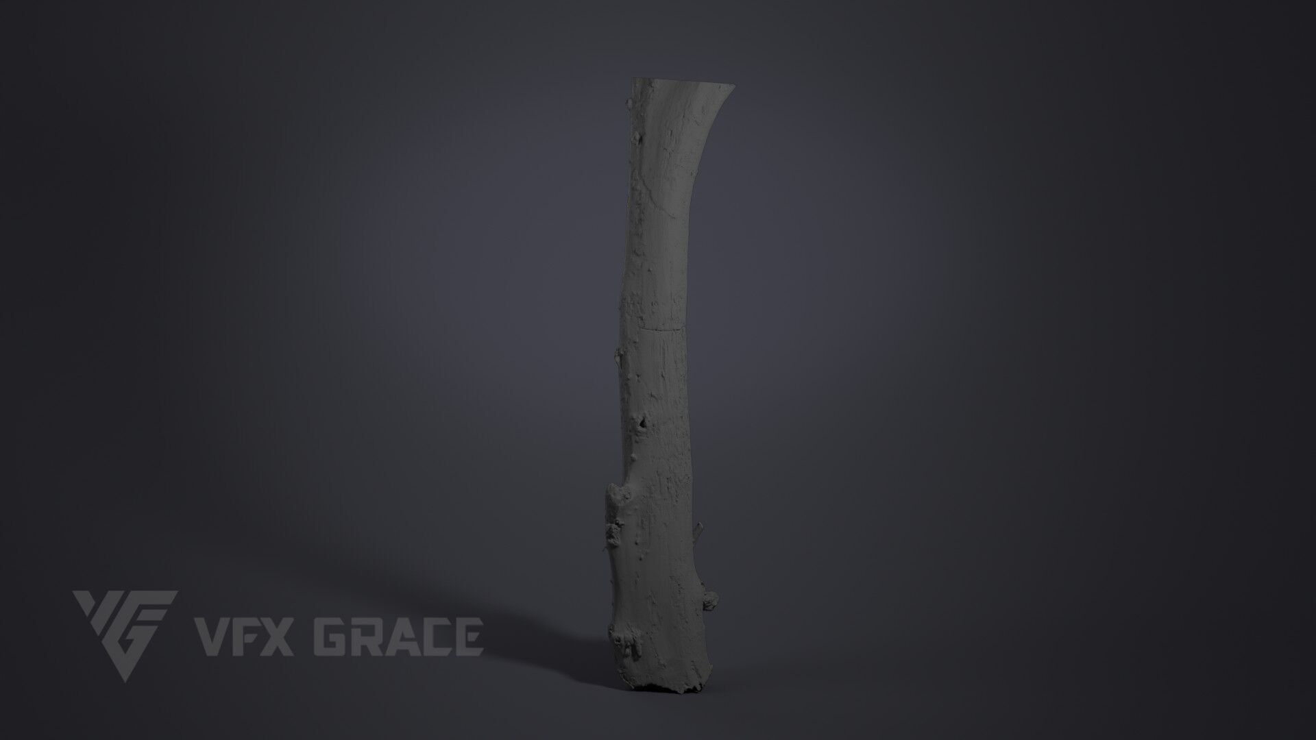 Dead Wood 001 3D model_5