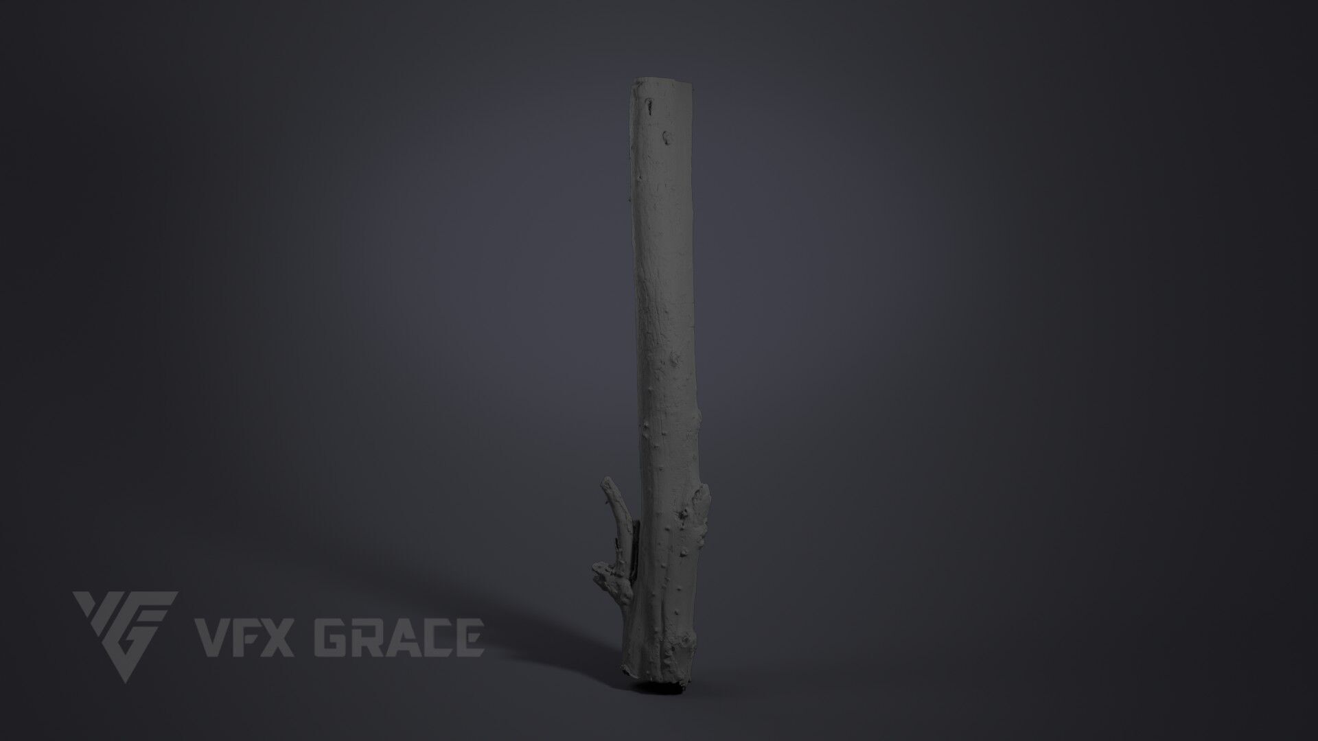 Dead Wood 001 3D model_6