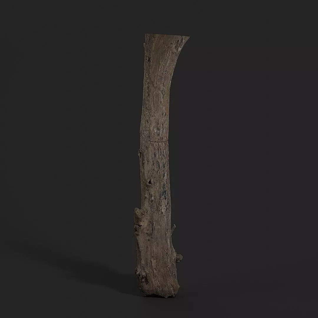 Dead Wood 001 3D model_0