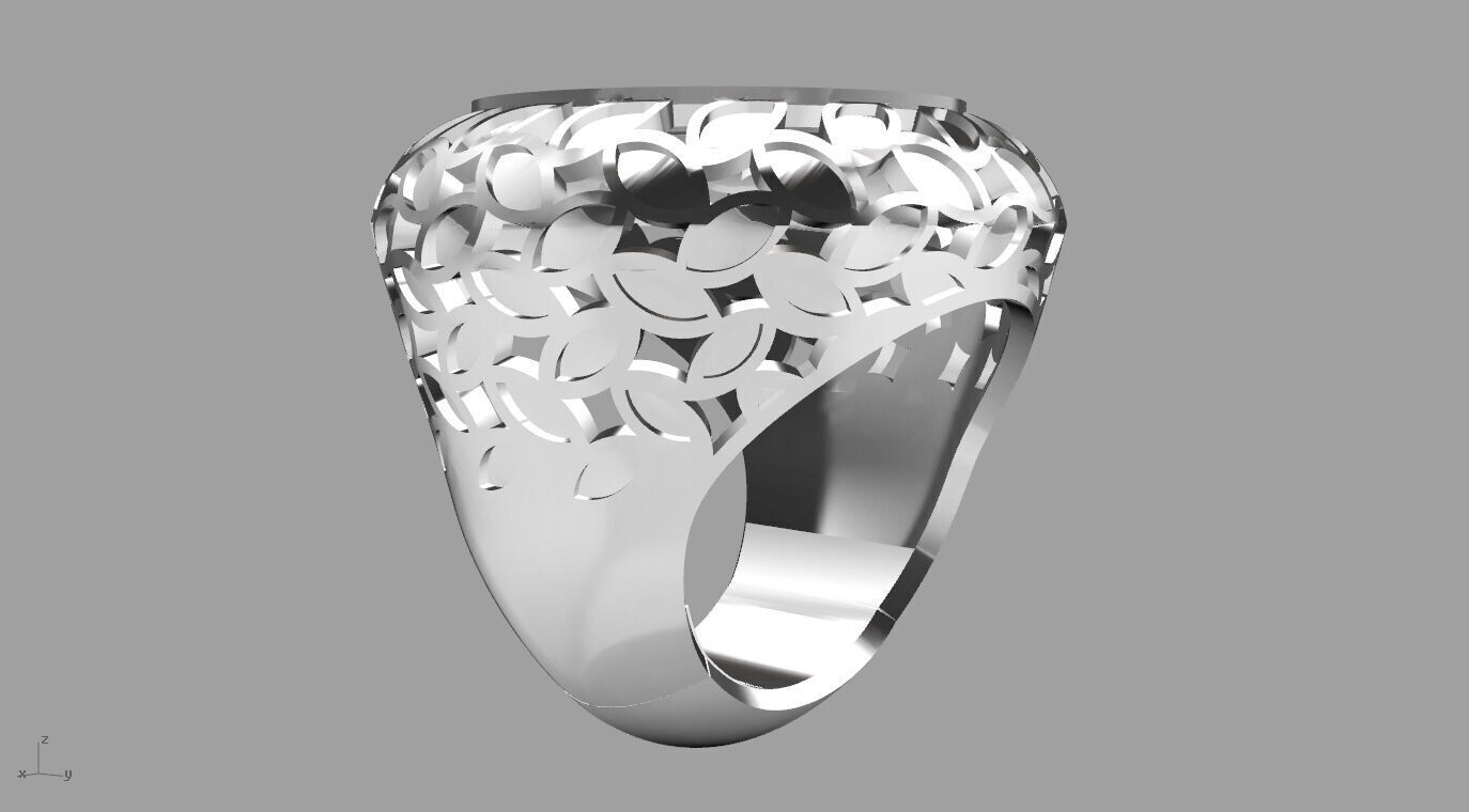 ring 010 3D print model_2