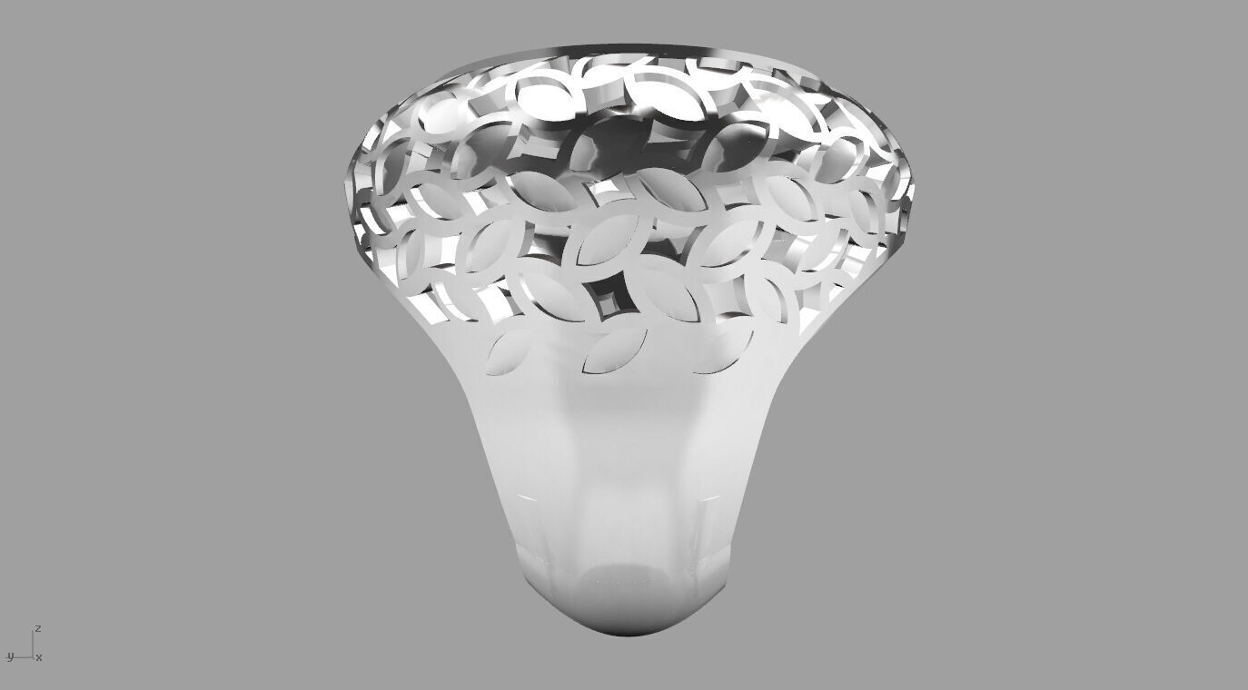 ring 010 3D print model_1
