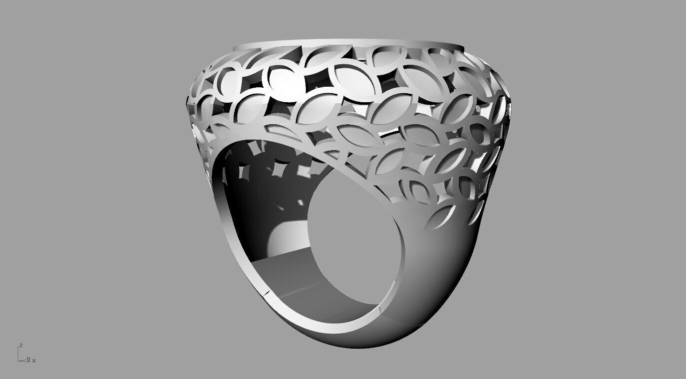 ring 010 3D print model_6