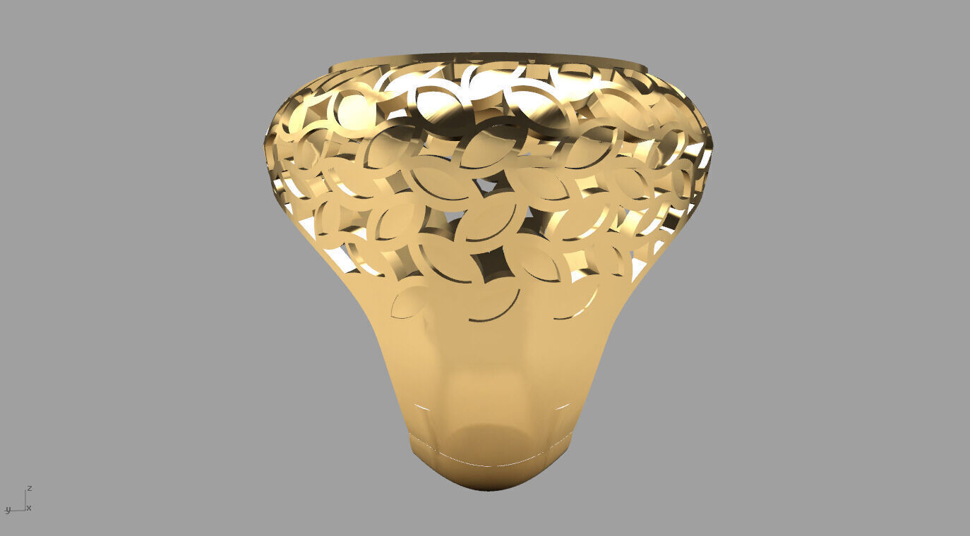 ring 010 3D print model_14