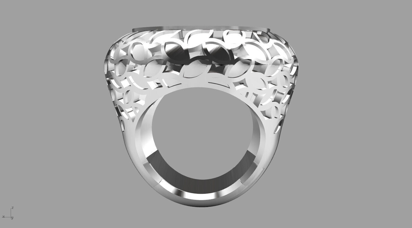 ring 010 3D print model_11