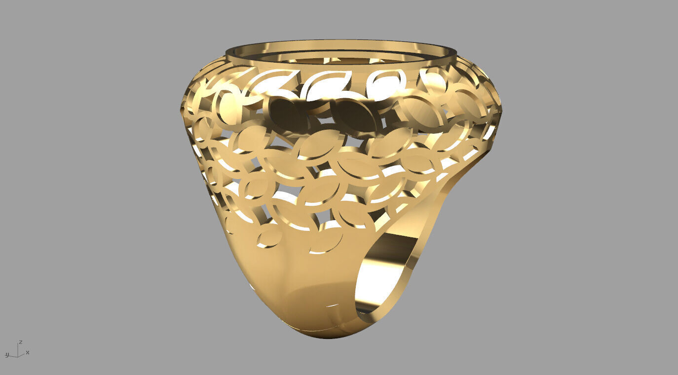 ring 010 3D print model_15