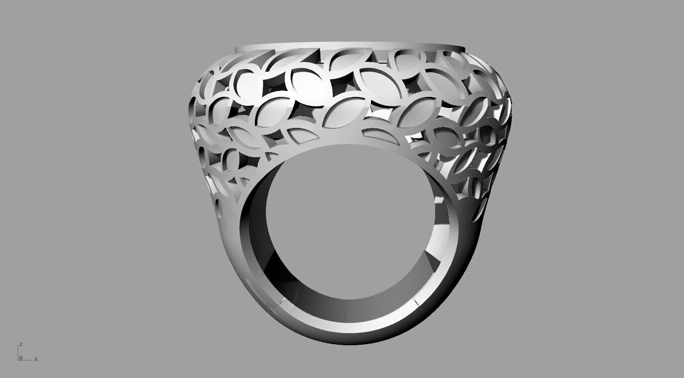 ring 010 3D print model_5