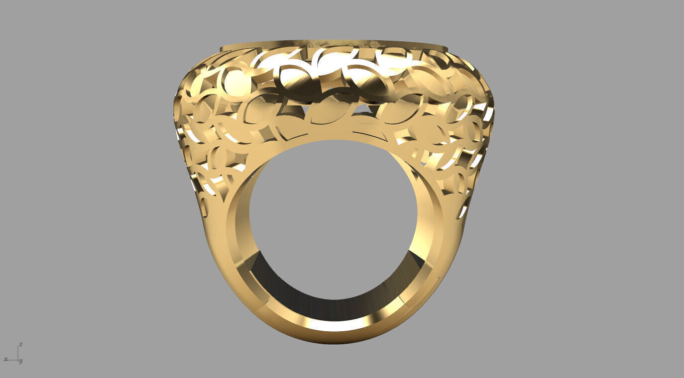 ring 010 3D print model_13