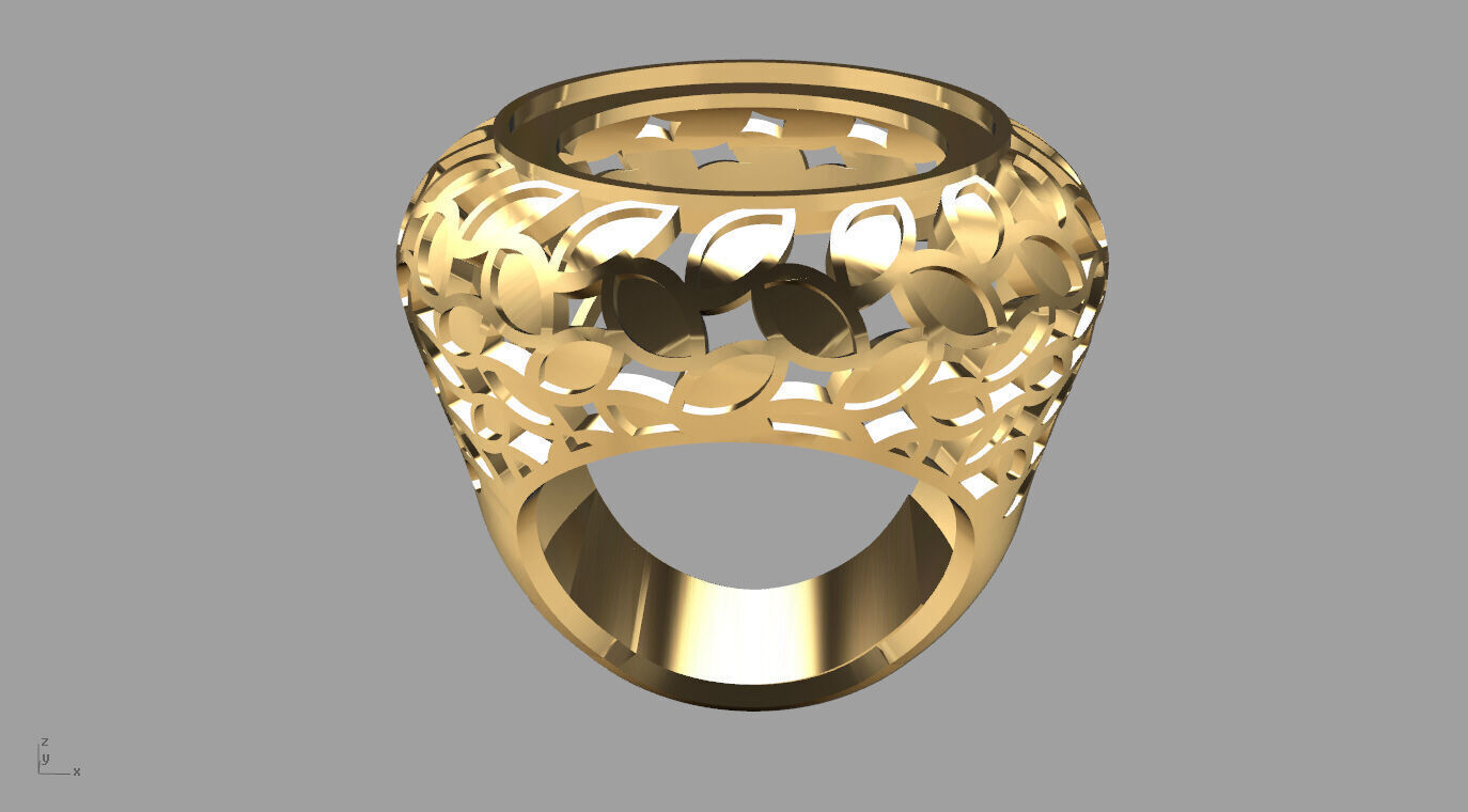 ring 010 3D print model_18