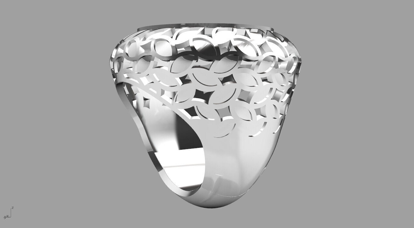 ring 010 3D print model_3