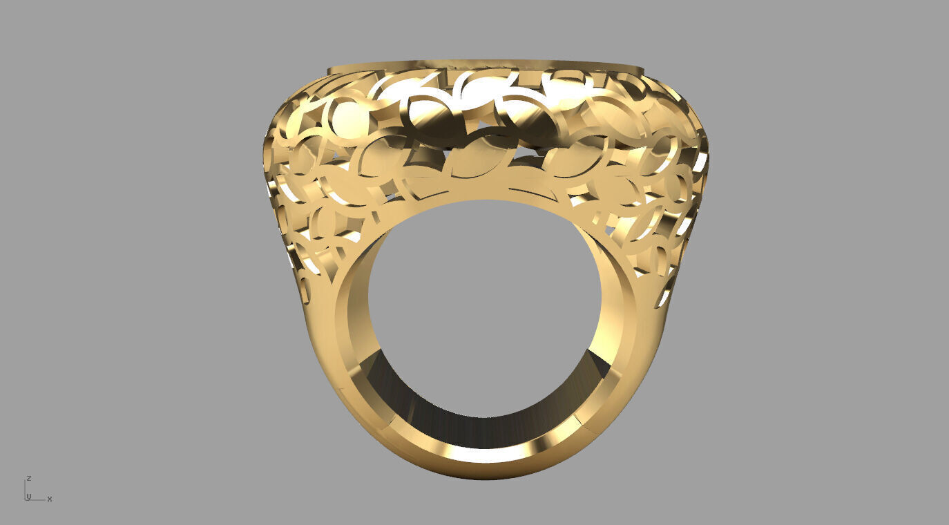 ring 010 3D print model_17