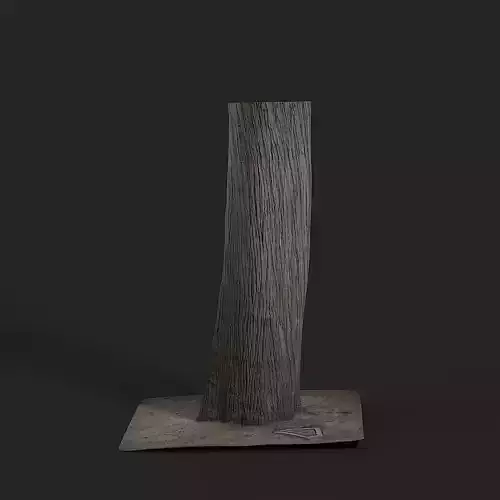 Cypress Tree 3D model