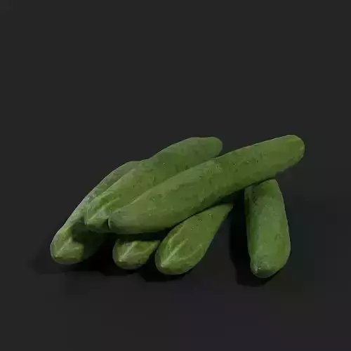 Cucumber 001 3D model