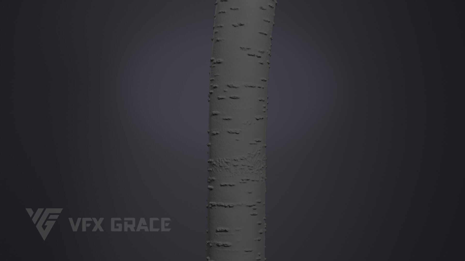 Cherry Tree 003 3D model_8