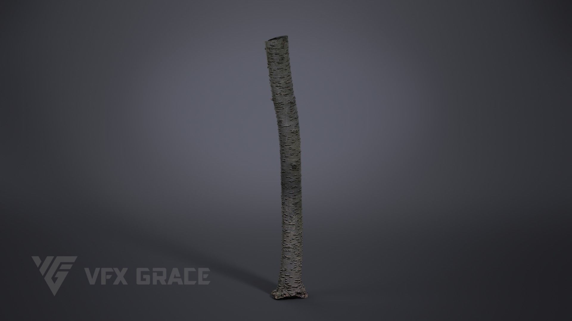 Cherry Tree 003 3D model_1