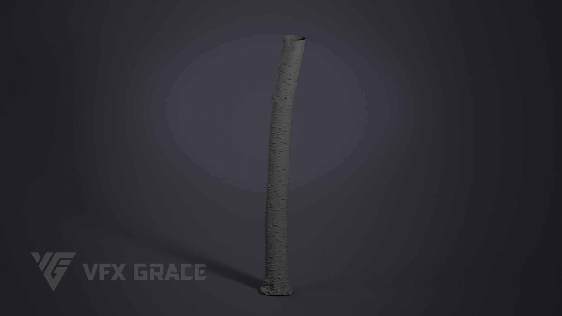 Cherry Tree 003 3D model_6