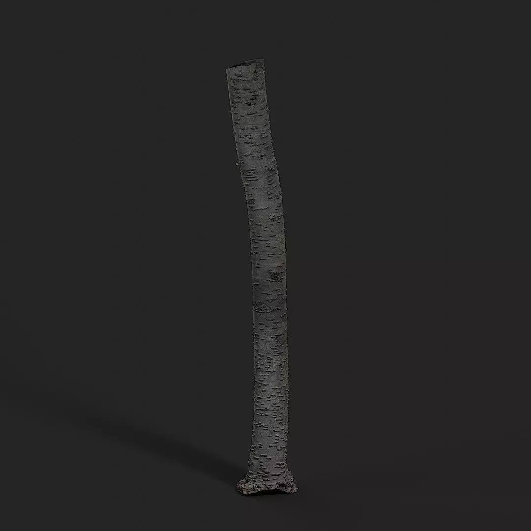 Cherry Tree 003 3D model_0