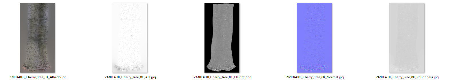 Cherry Tree 003 3D model_9