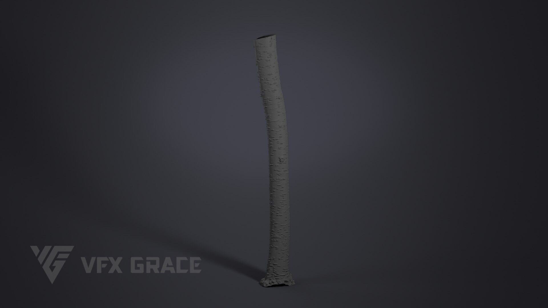 Cherry Tree 003 3D model_5