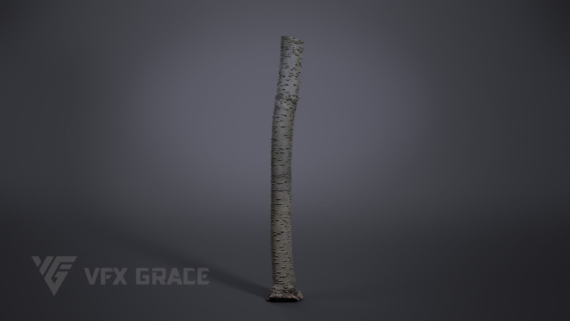 Cherry Tree 003 3D model_3