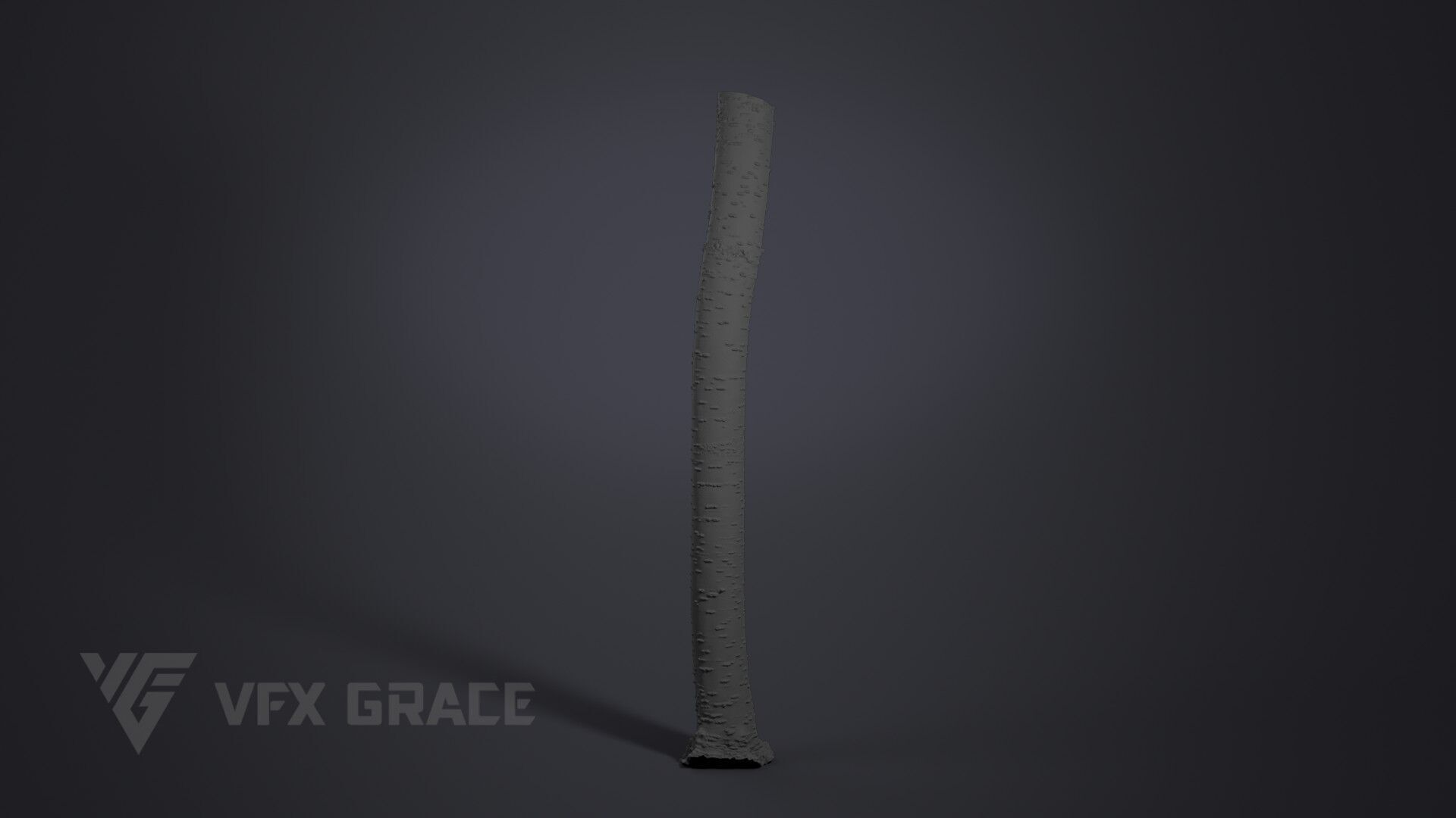 Cherry Tree 003 3D model_7