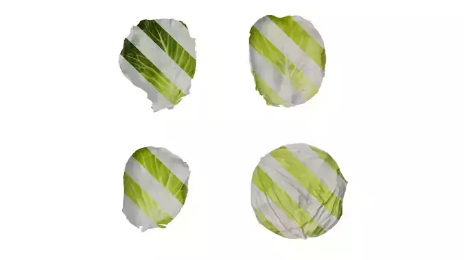 Anydrafts Brassica oleracea Atlas 01 F