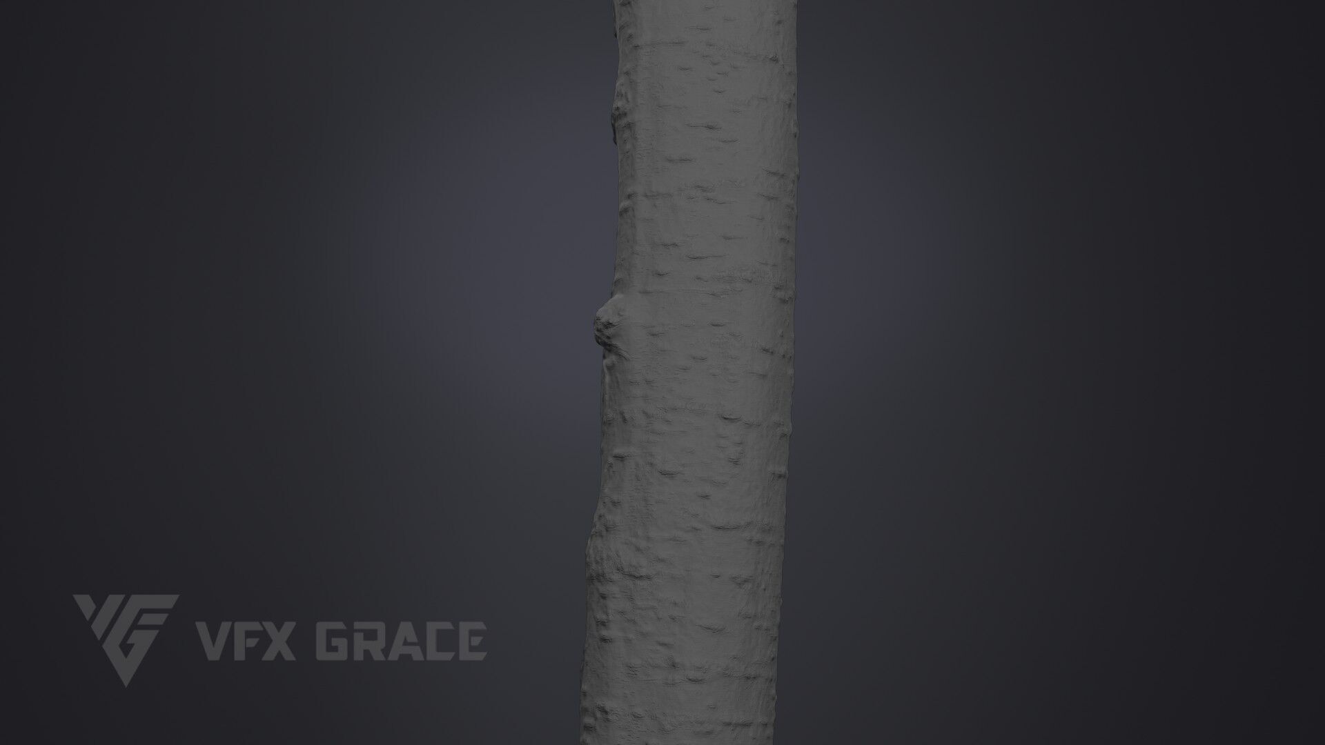 Cherry Tree 002 3D model_8