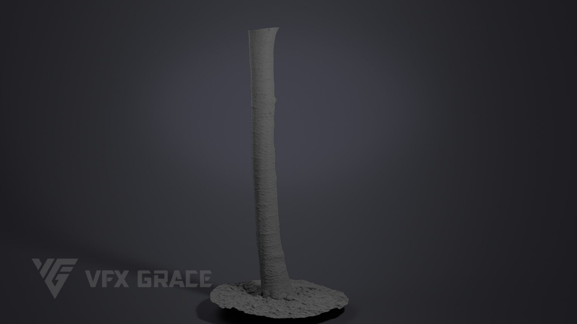 Cherry Tree 002 3D model_5