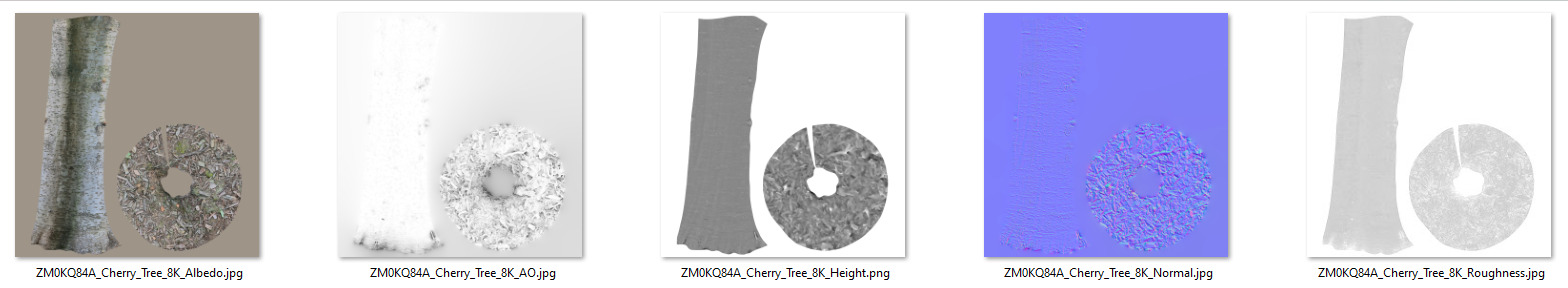 Cherry Tree 002 3D model_9