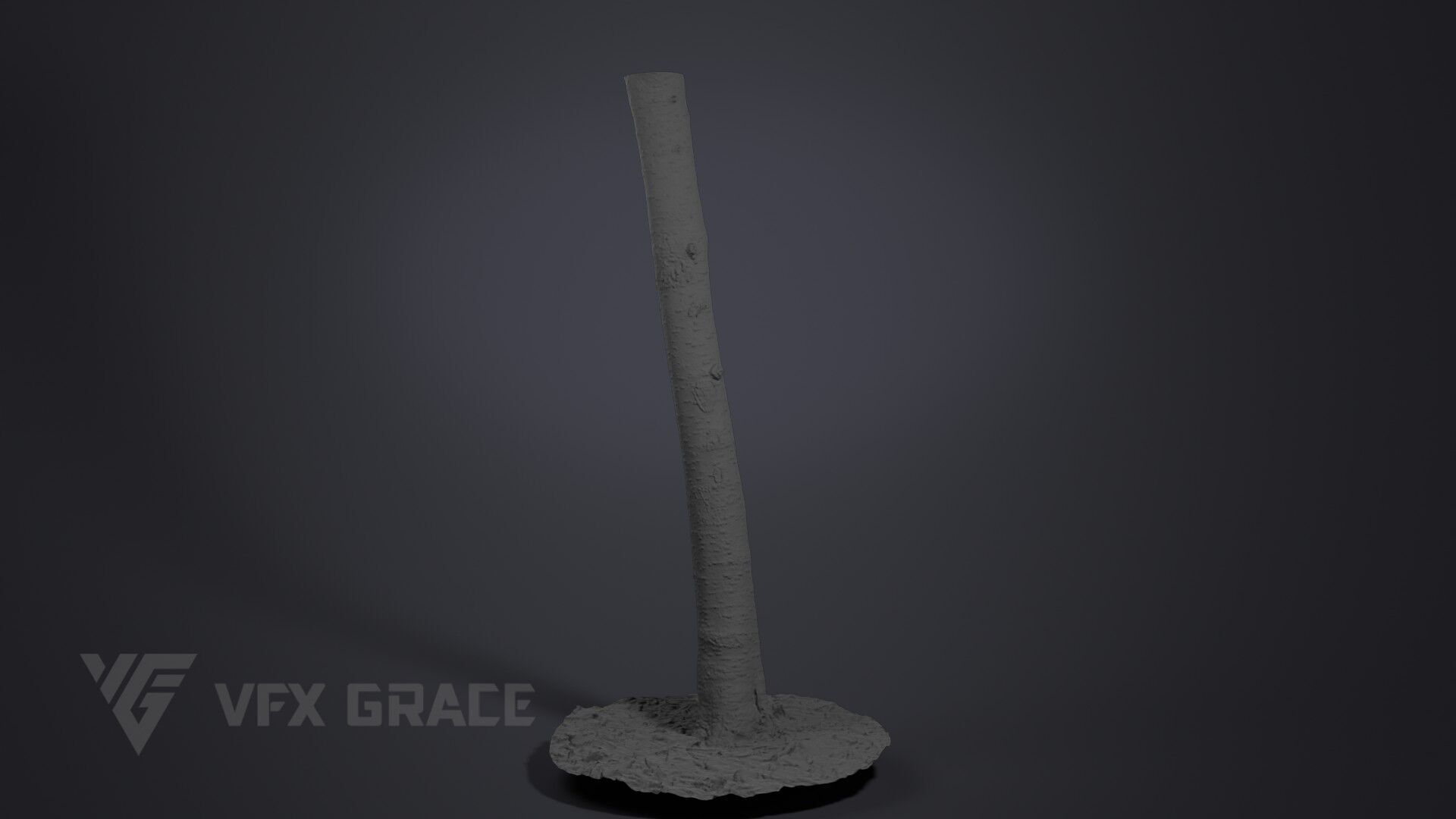 Cherry Tree 002 3D model_6