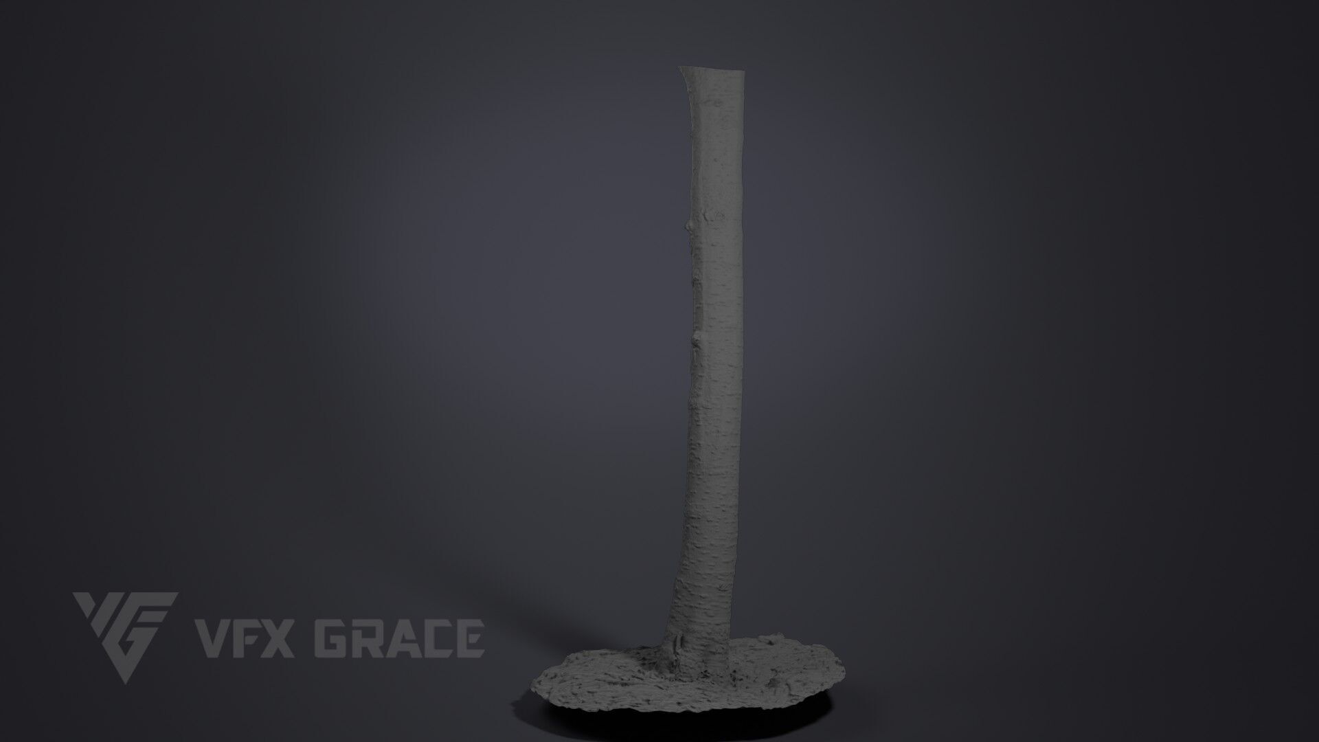 Cherry Tree 002 3D model_7