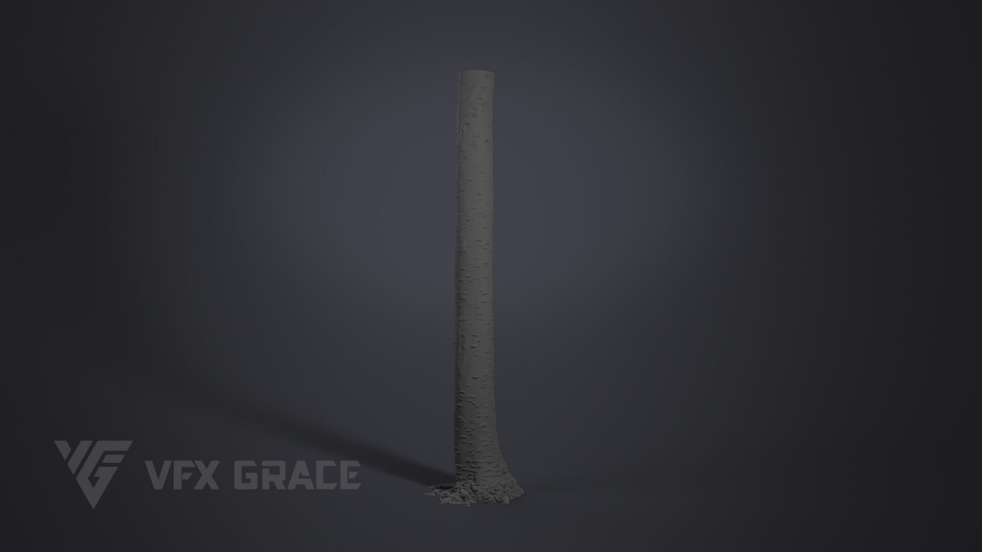 Cherry Tree 001 3D model_7