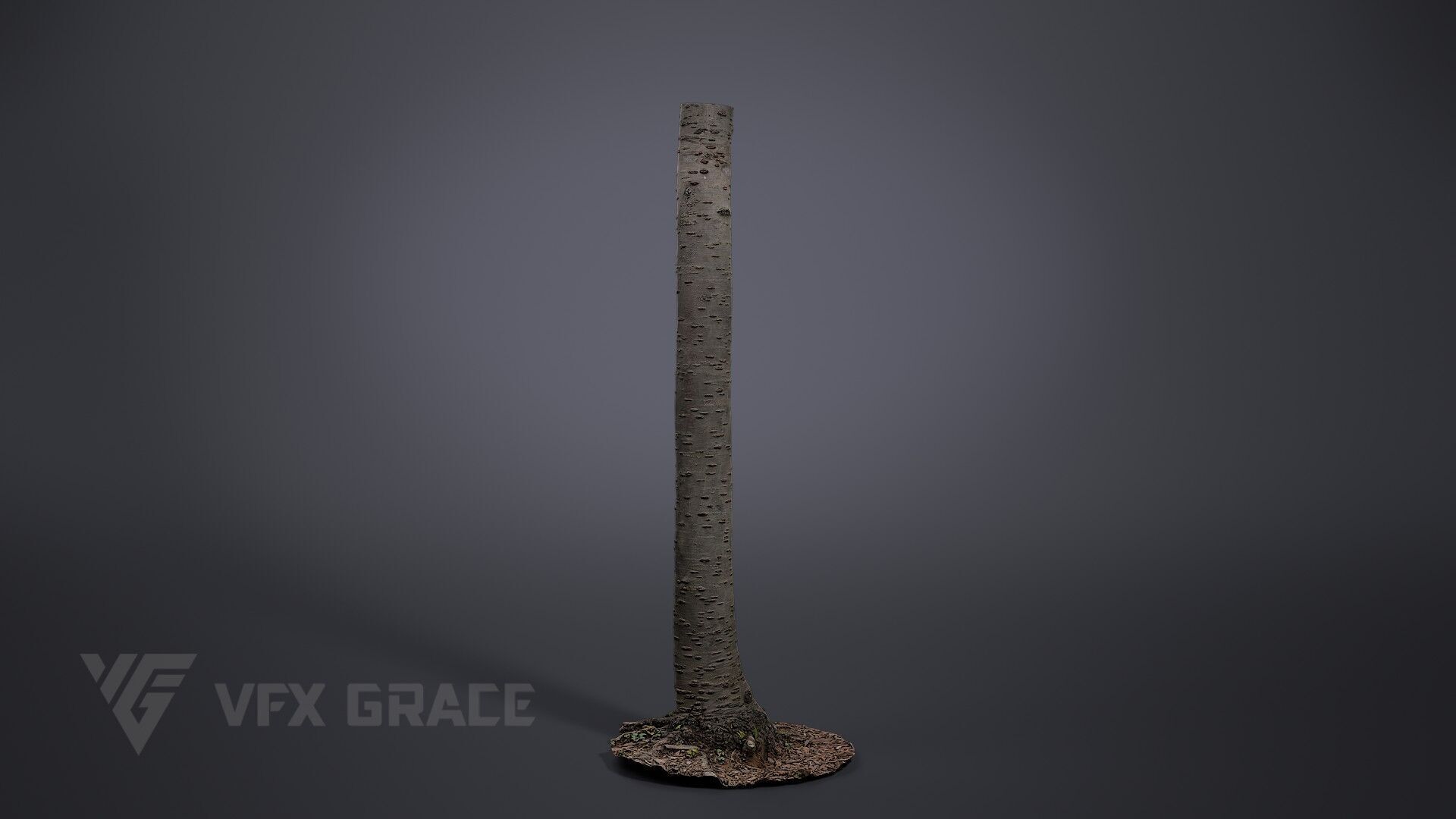 Cherry Tree 001 3D model_3