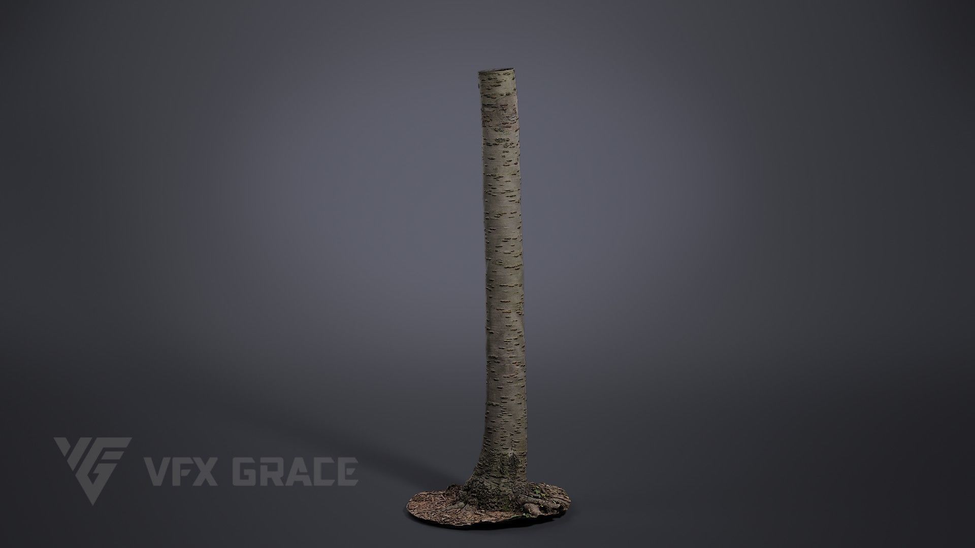 Cherry Tree 001 3D model_1