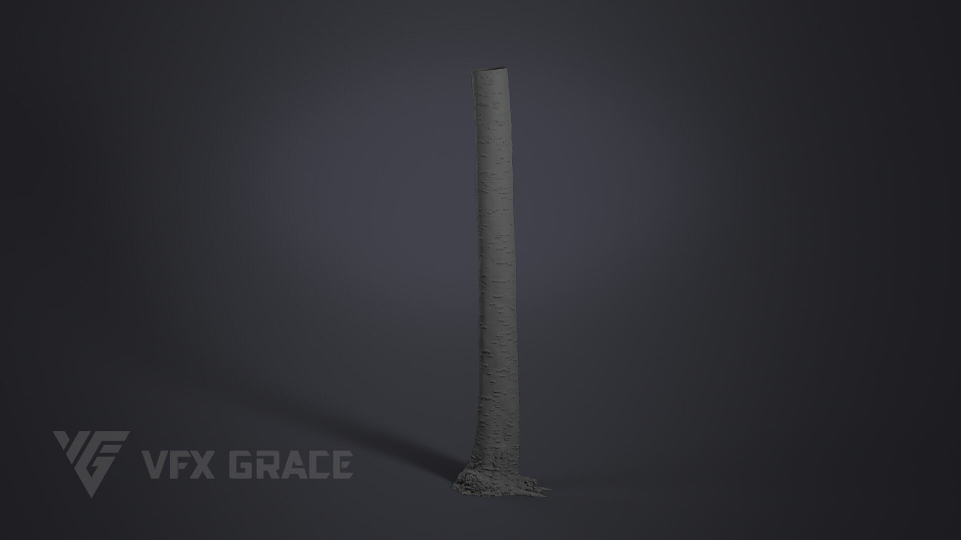 Cherry Tree 001 3D model_5